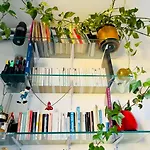 Canopée, paisible, chaleureux, lumineux, balcon